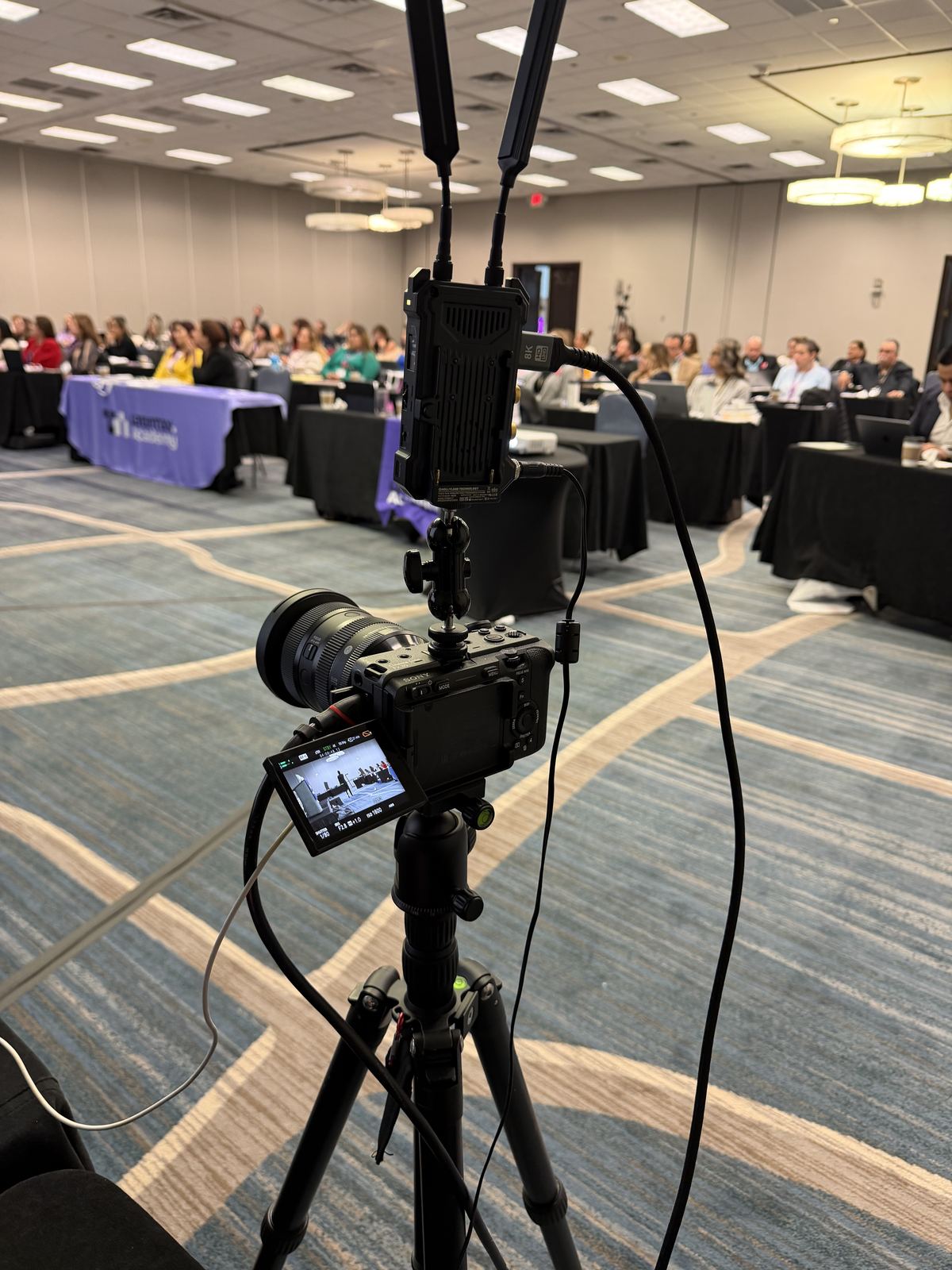 Latin Tax Academy live stream setup