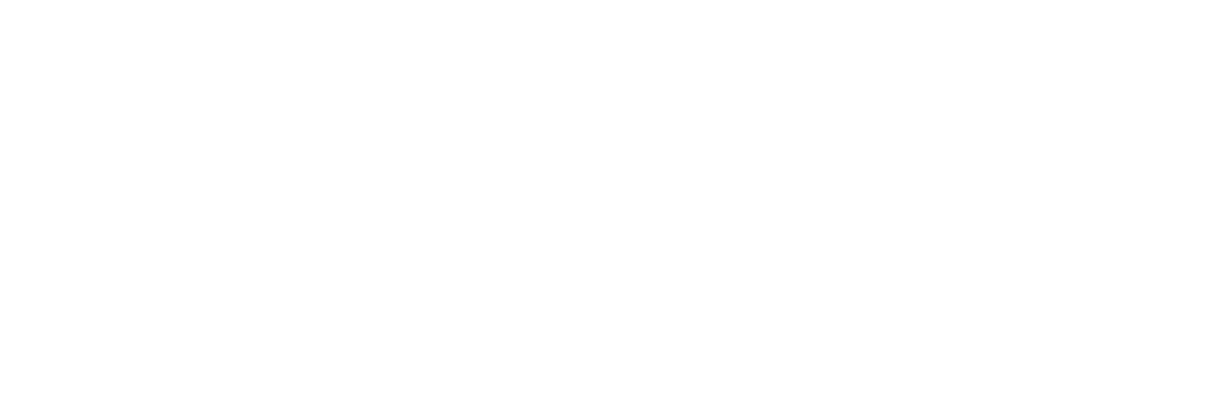 Metro Connect Fall