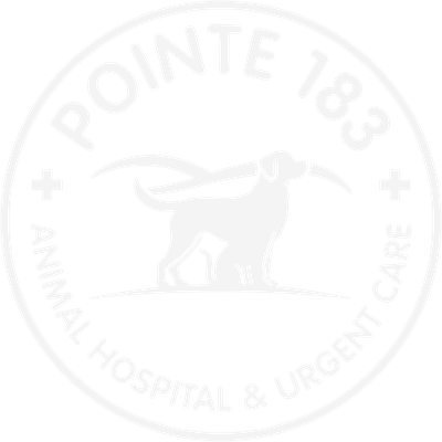 Pointe 183